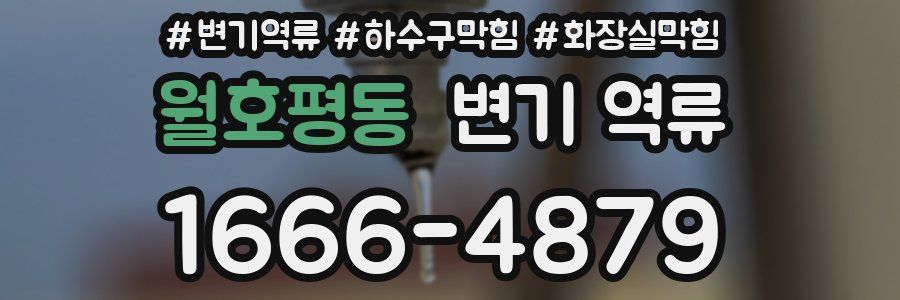 월호평동 변기 역류