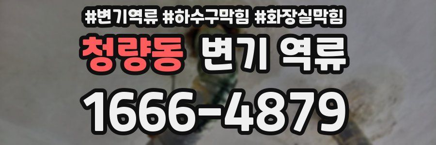 청량동 변기 역류