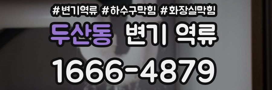 두산동 변기 역류