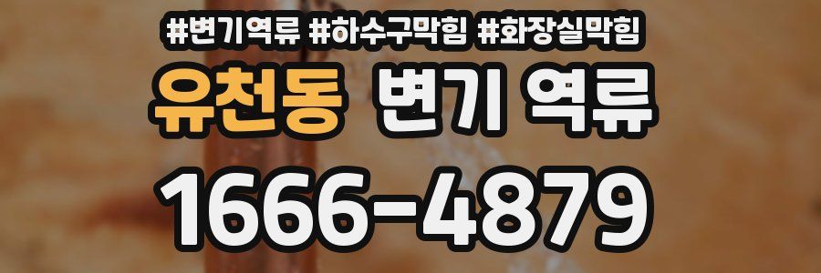 유천동 변기 역류