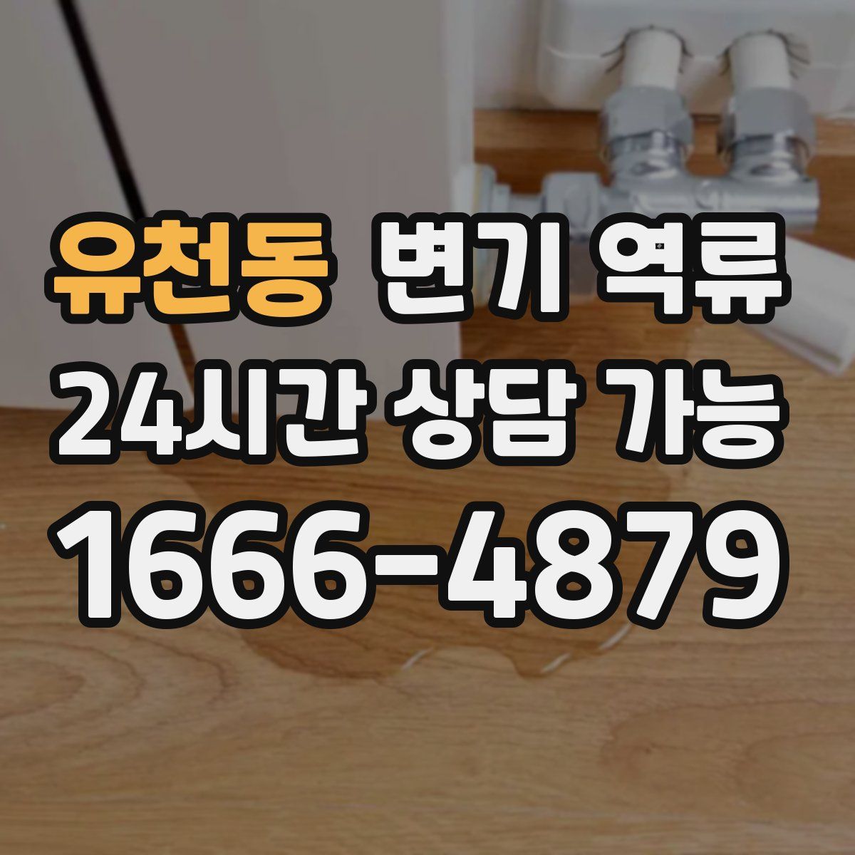 유천동 변기 역류