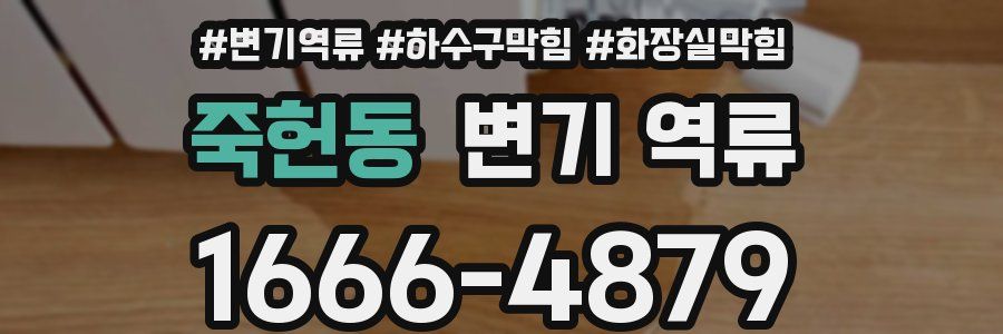 죽헌동 변기 역류