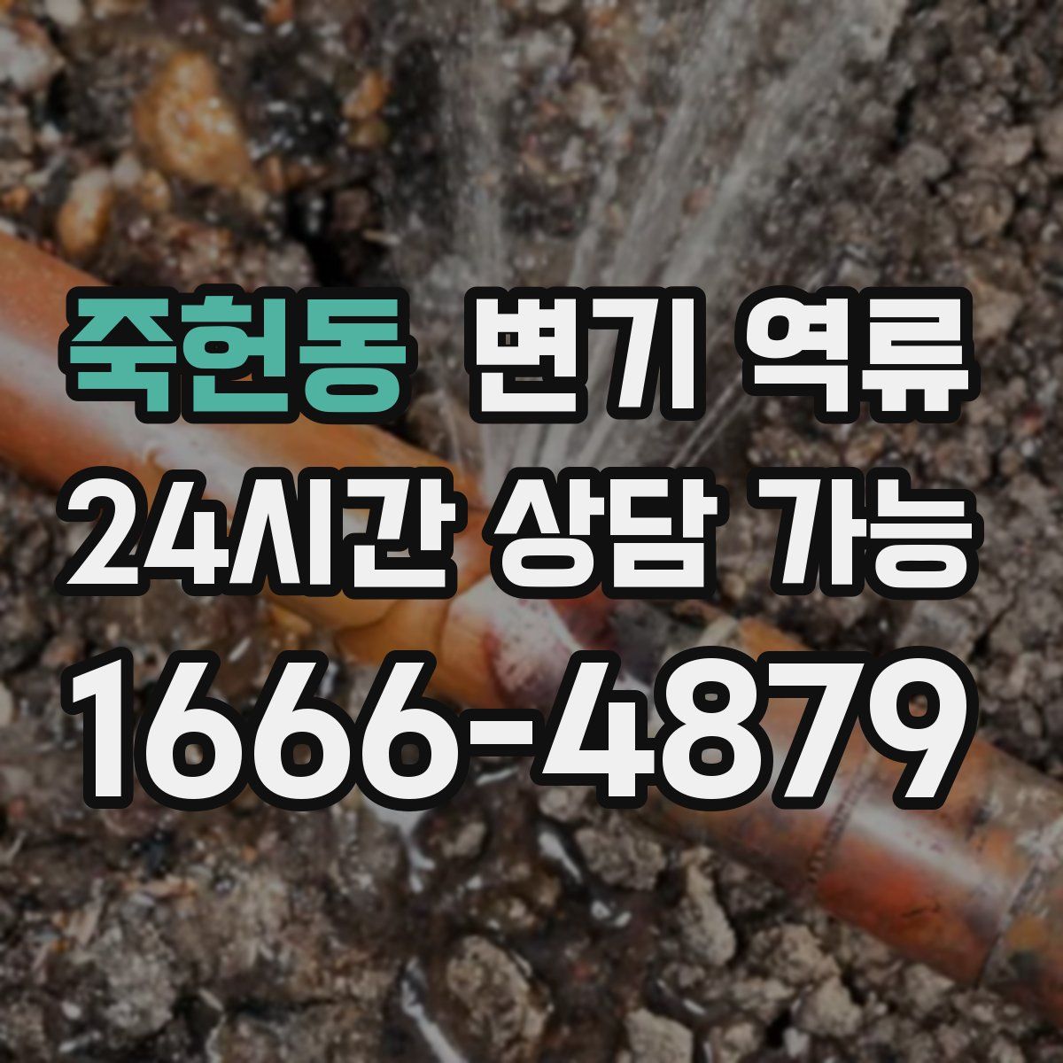 죽헌동 변기 역류