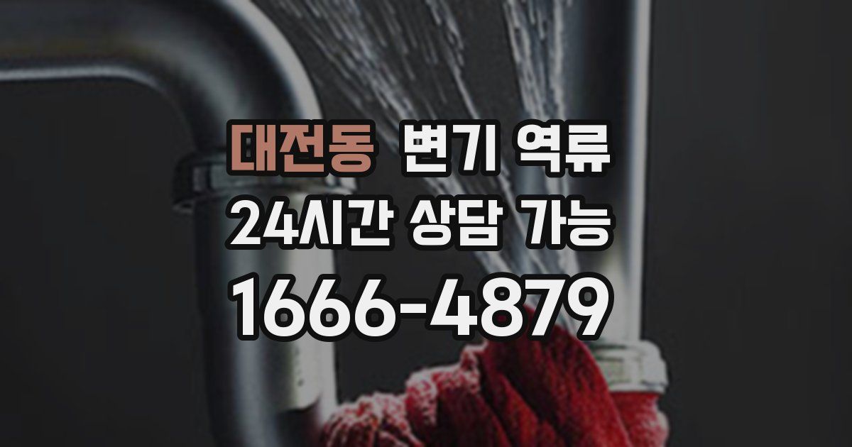 대전동 변기 역류