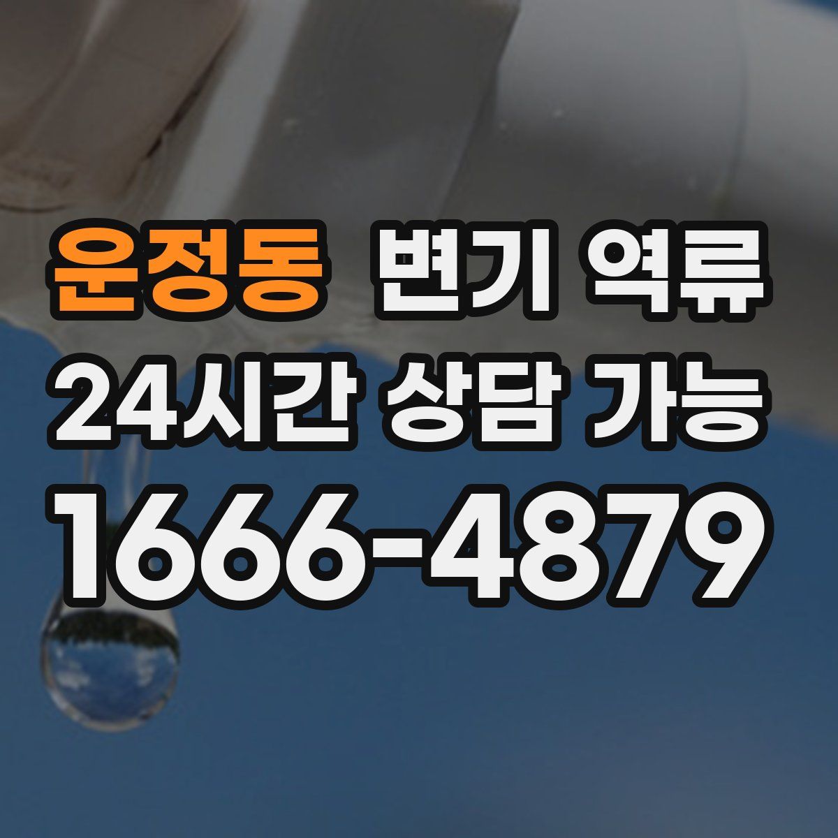 운정동 변기 역류