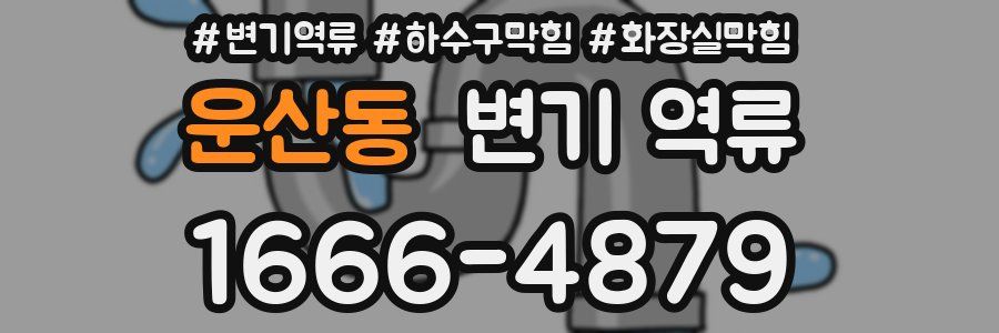 운산동 변기 역류