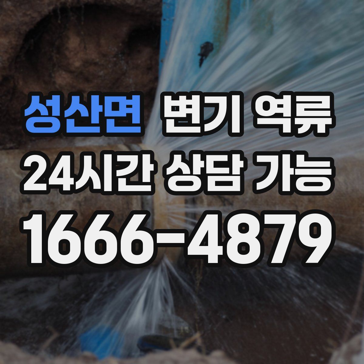 성산면 변기 역류