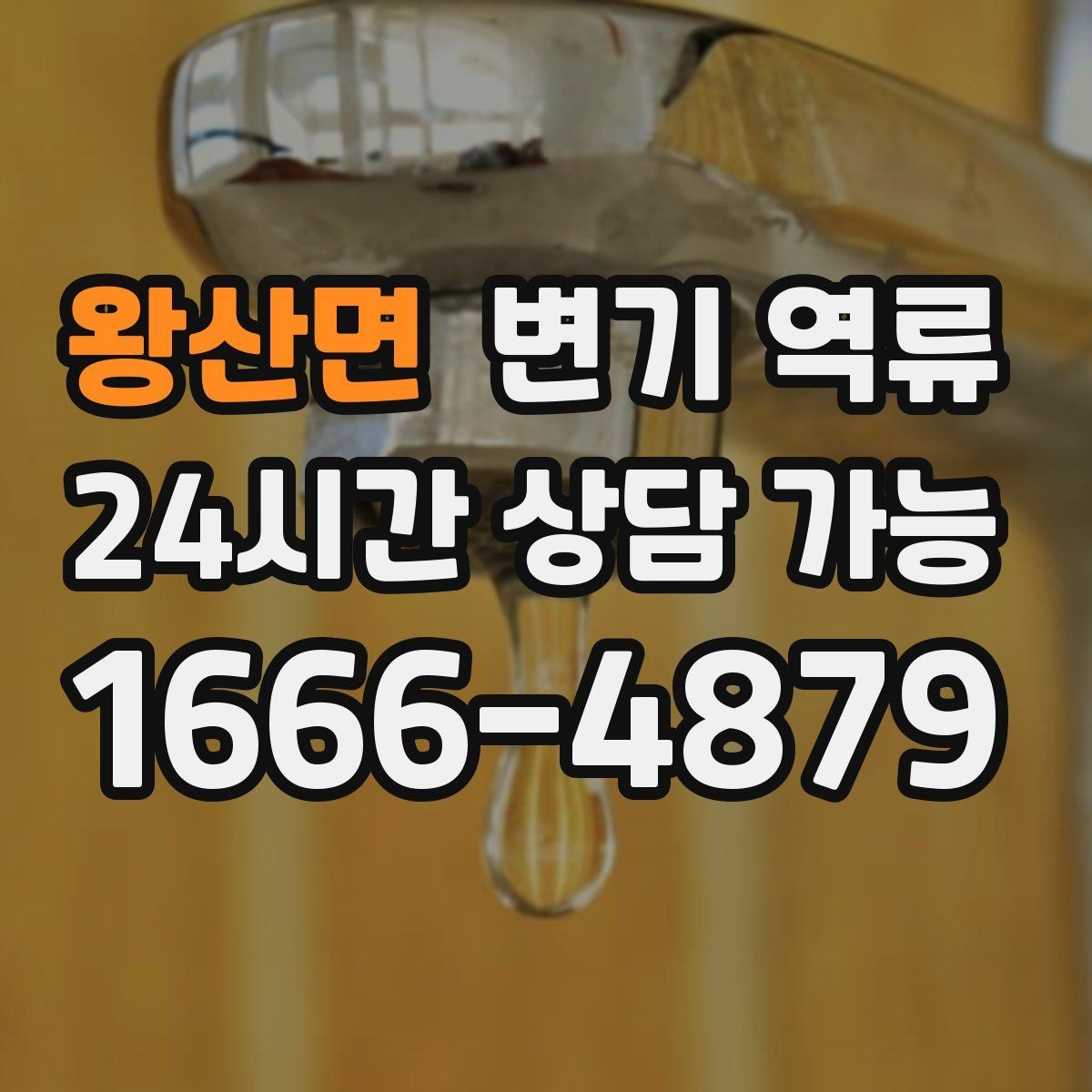 왕산면 변기 역류 왁스링 문제로 물이 새면 역류처럼 보일까
