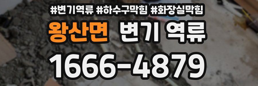 왕산면 변기 역류