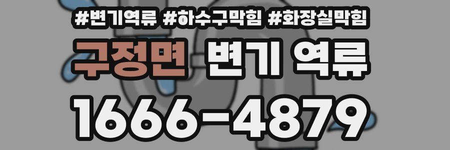 구정면 변기 역류