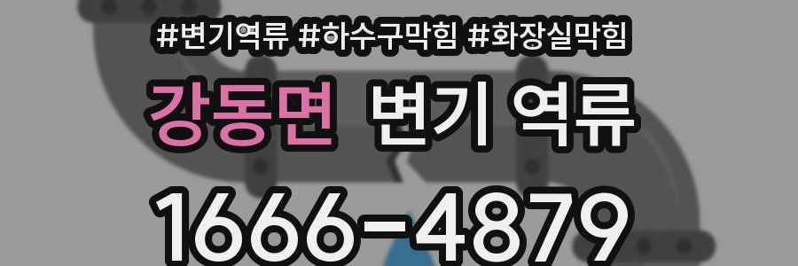 강동면 변기 역류