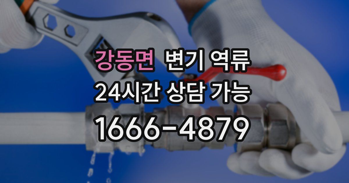 강동면 변기 역류