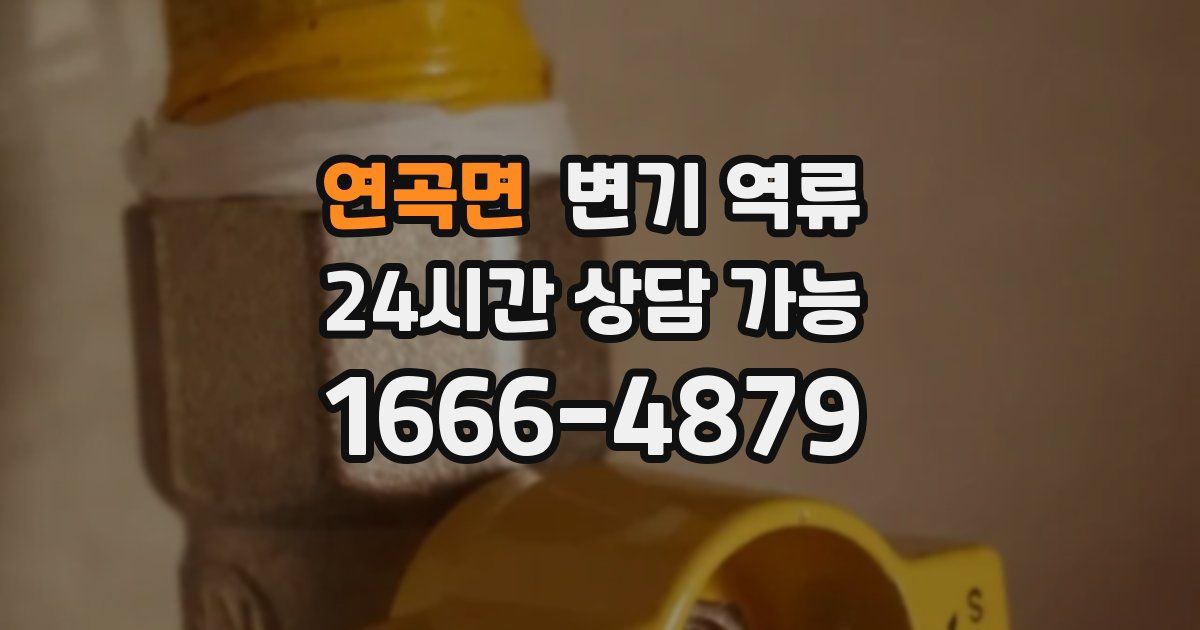 연곡면 변기 역류