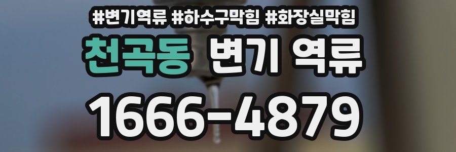 천곡동 변기 역류