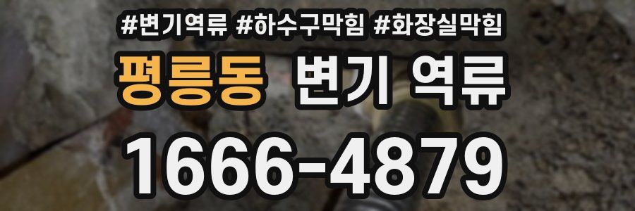 평릉동 변기 역류