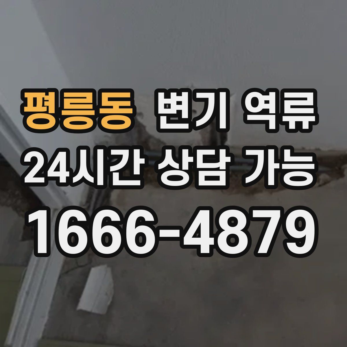 평릉동 변기 역류