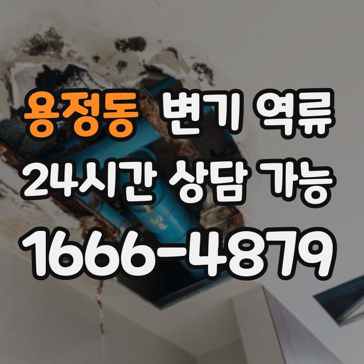 용정동 변기 역류 욕실 바닥이 젖으면 미끄럼 사고 주의