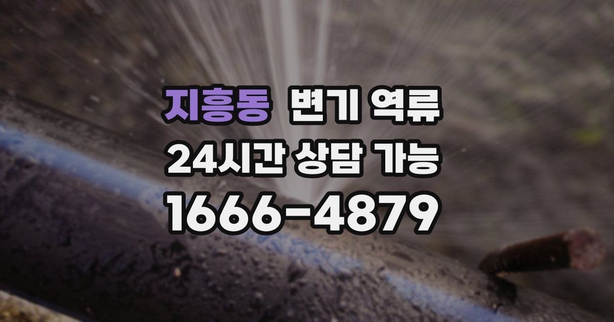 지흥동 변기 역류