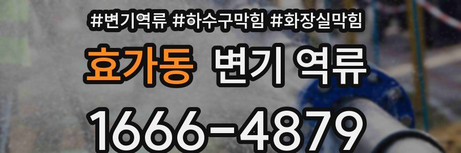 효가동 변기 역류