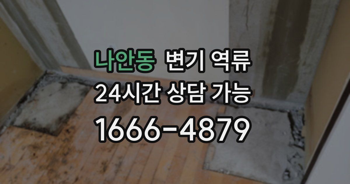 나안동 변기 역류