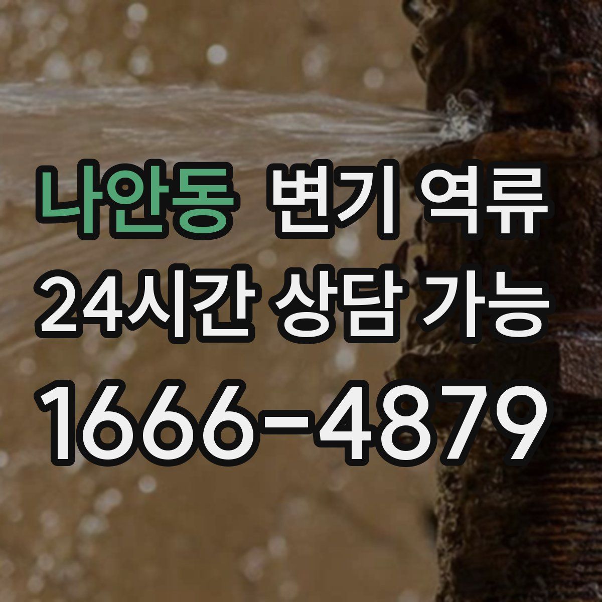 나안동 변기 역류