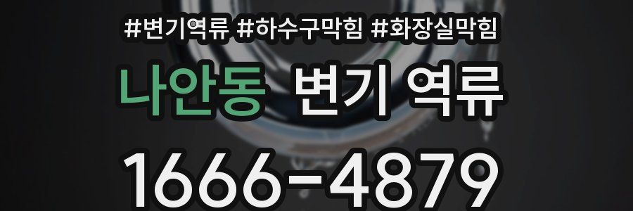 나안동 변기 역류