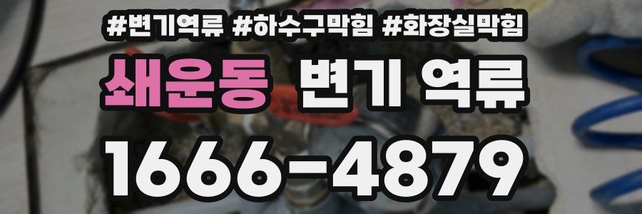 쇄운동 변기 역류