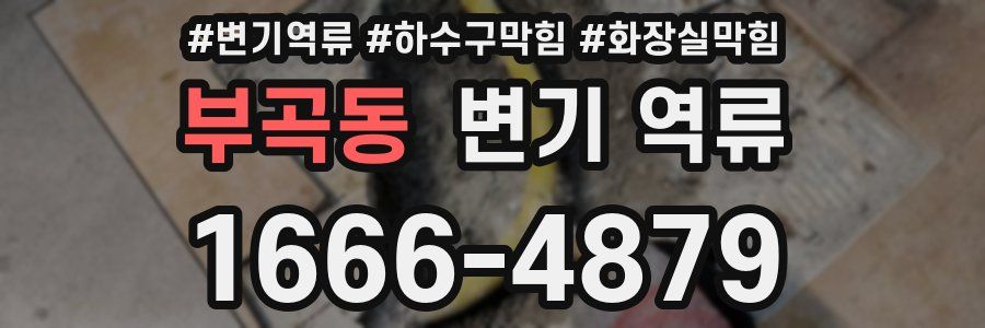 부곡동 변기 역류