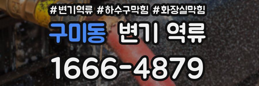 구미동 변기 역류