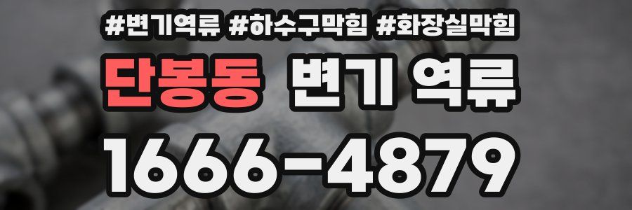 단봉동 변기 역류
