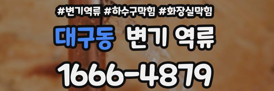 대구동 변기 역류