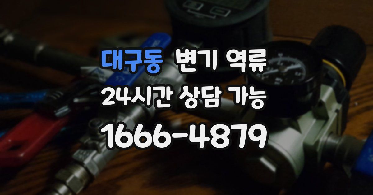 대구동 변기 역류