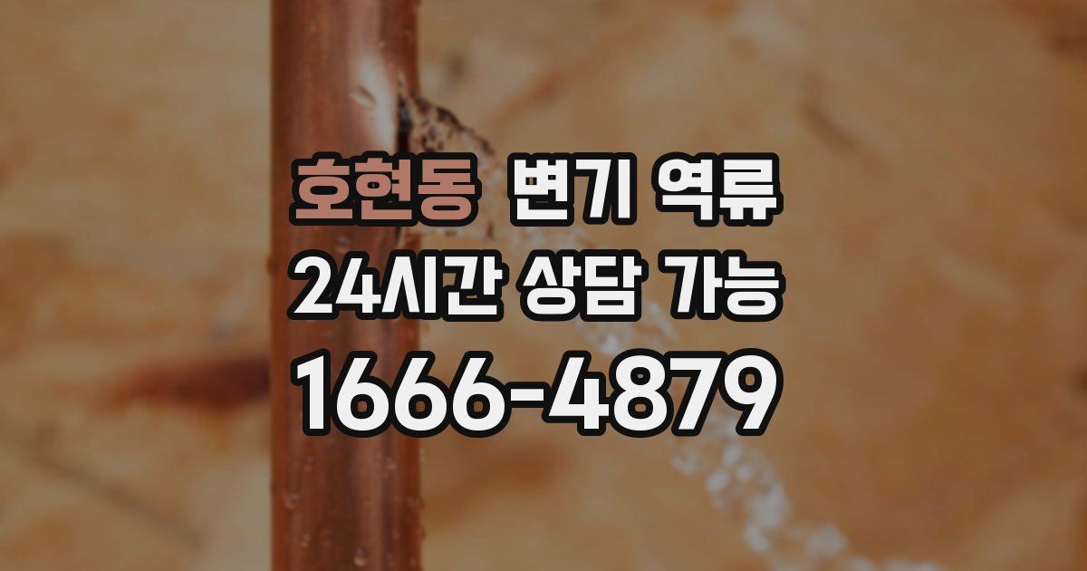 호현동 변기 역류