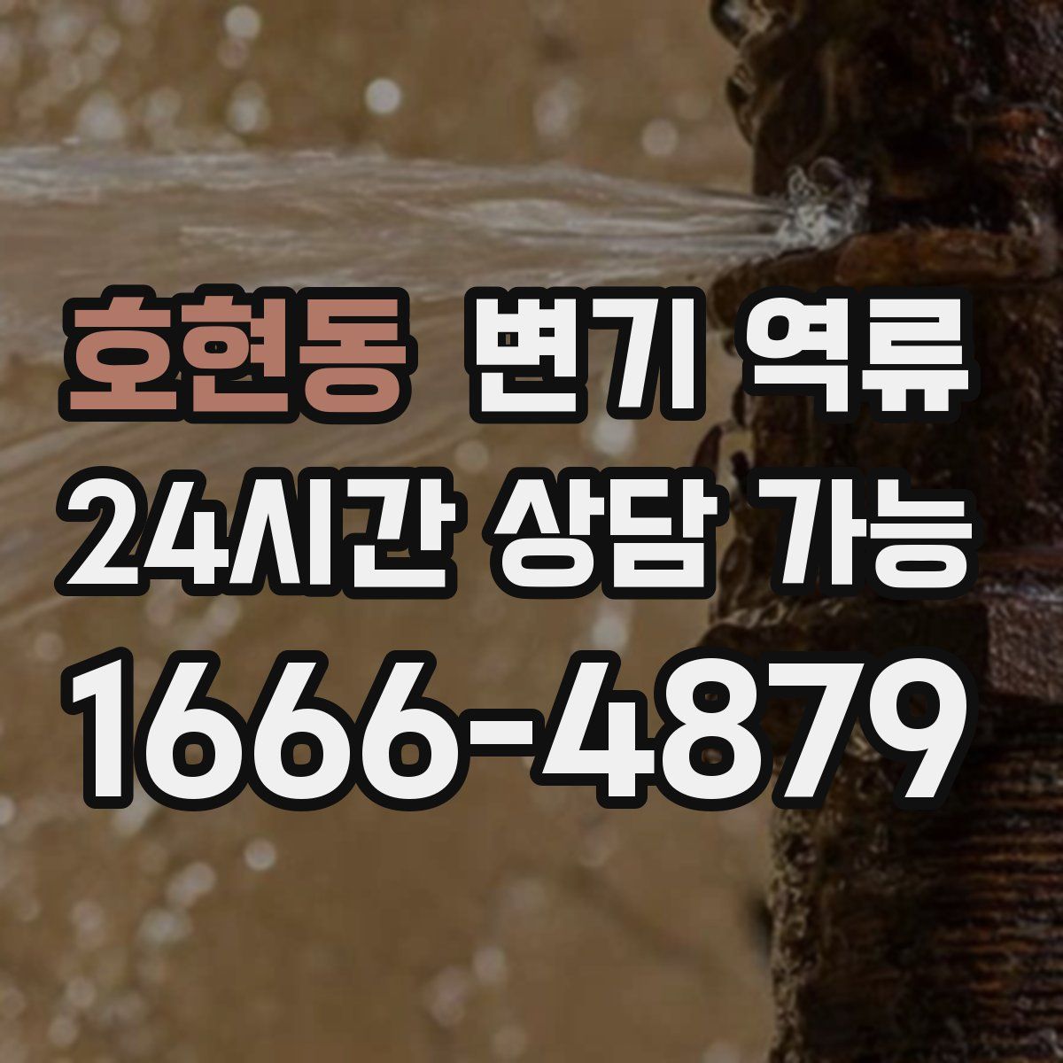 호현동 변기 역류