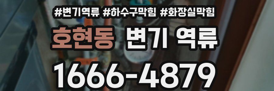 호현동 변기 역류