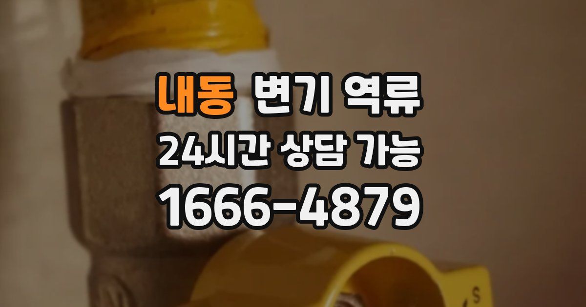 내동 변기 역류