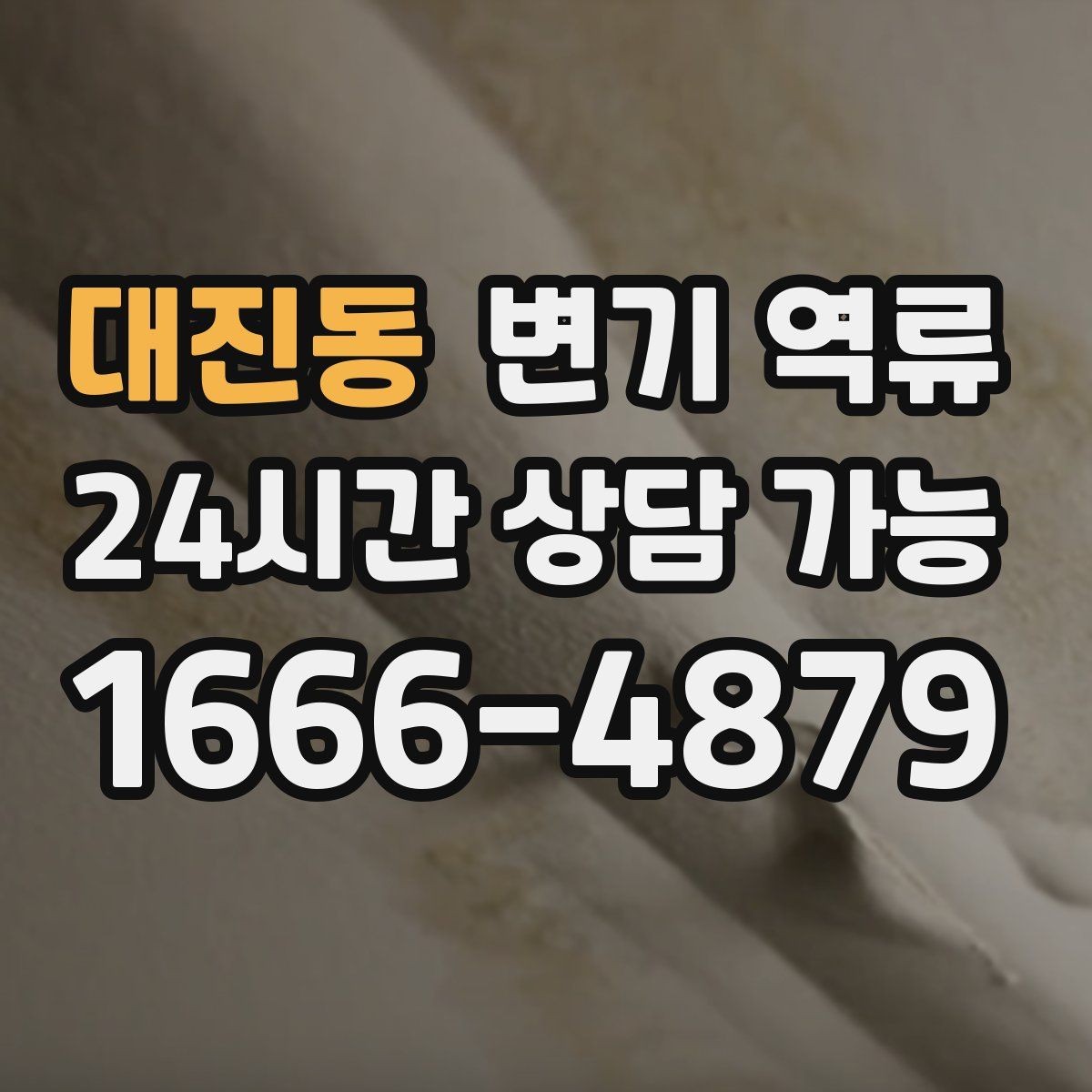 대진동 변기 역류 뚫어뻥으로 해결될 때와 안 될 때 차이