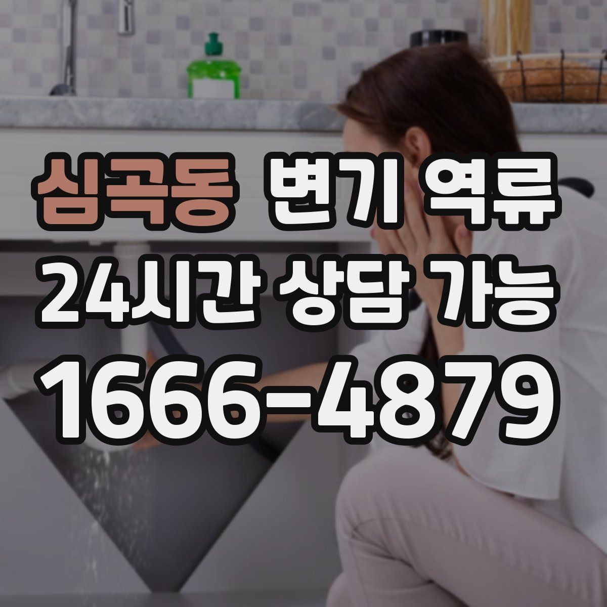 심곡동 변기 역류 세대 배관 문제인지 공용 배관 문제인지 구분