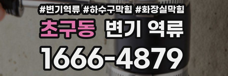 초구동 변기 역류