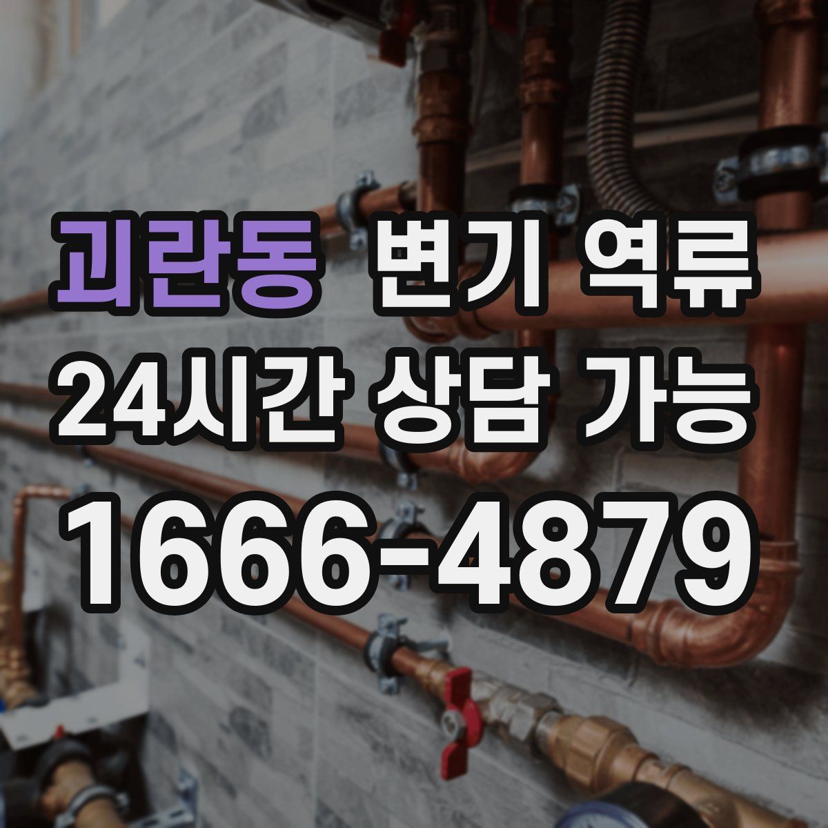 괴란동 변기 역류