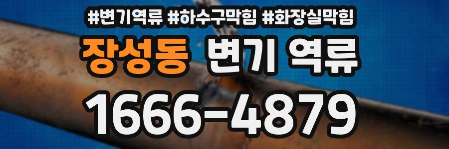 장성동 변기 역류