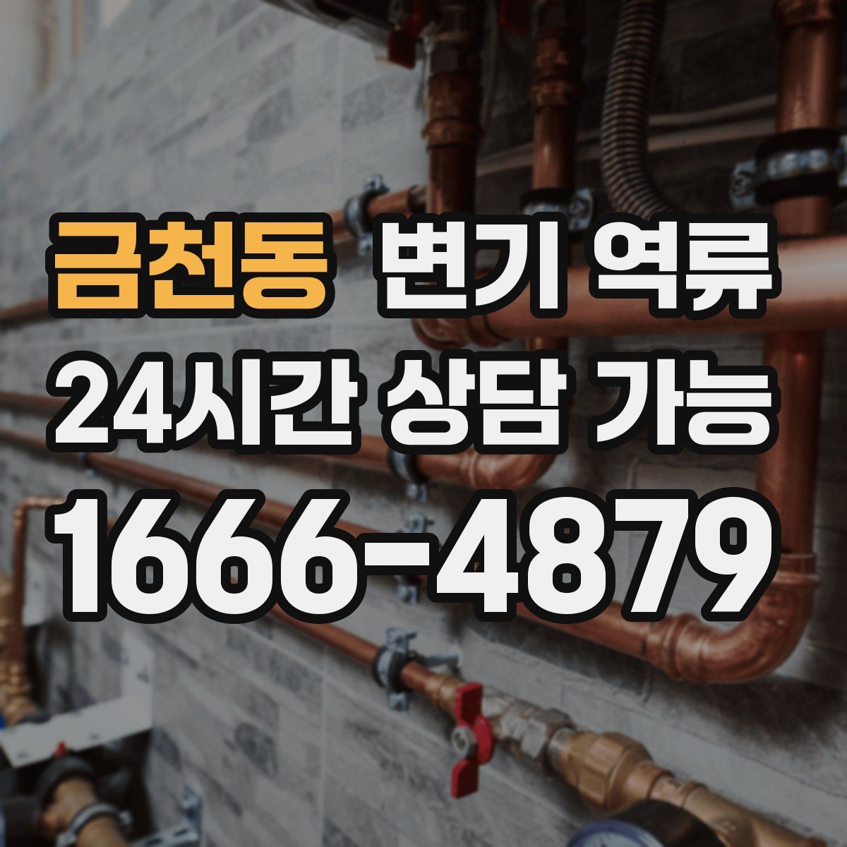 금천동 변기 역류