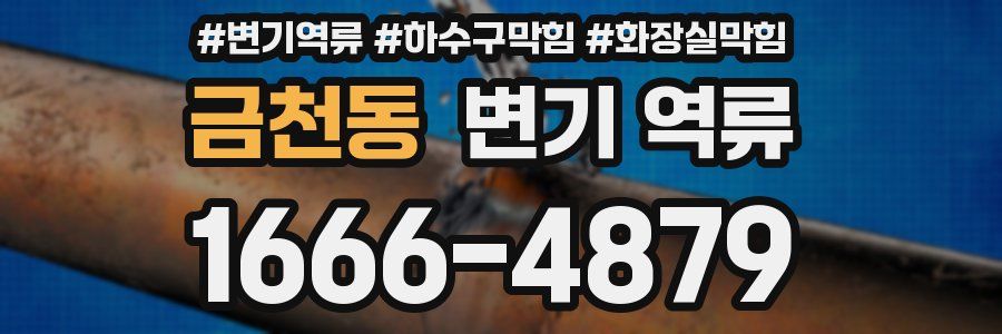 금천동 변기 역류