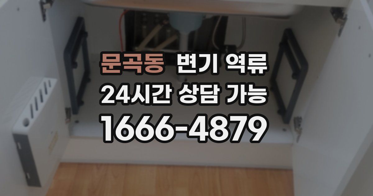 문곡동 변기 역류