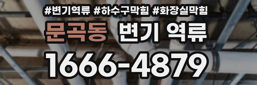 문곡동 변기 역류