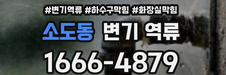 소도동 변기 역류