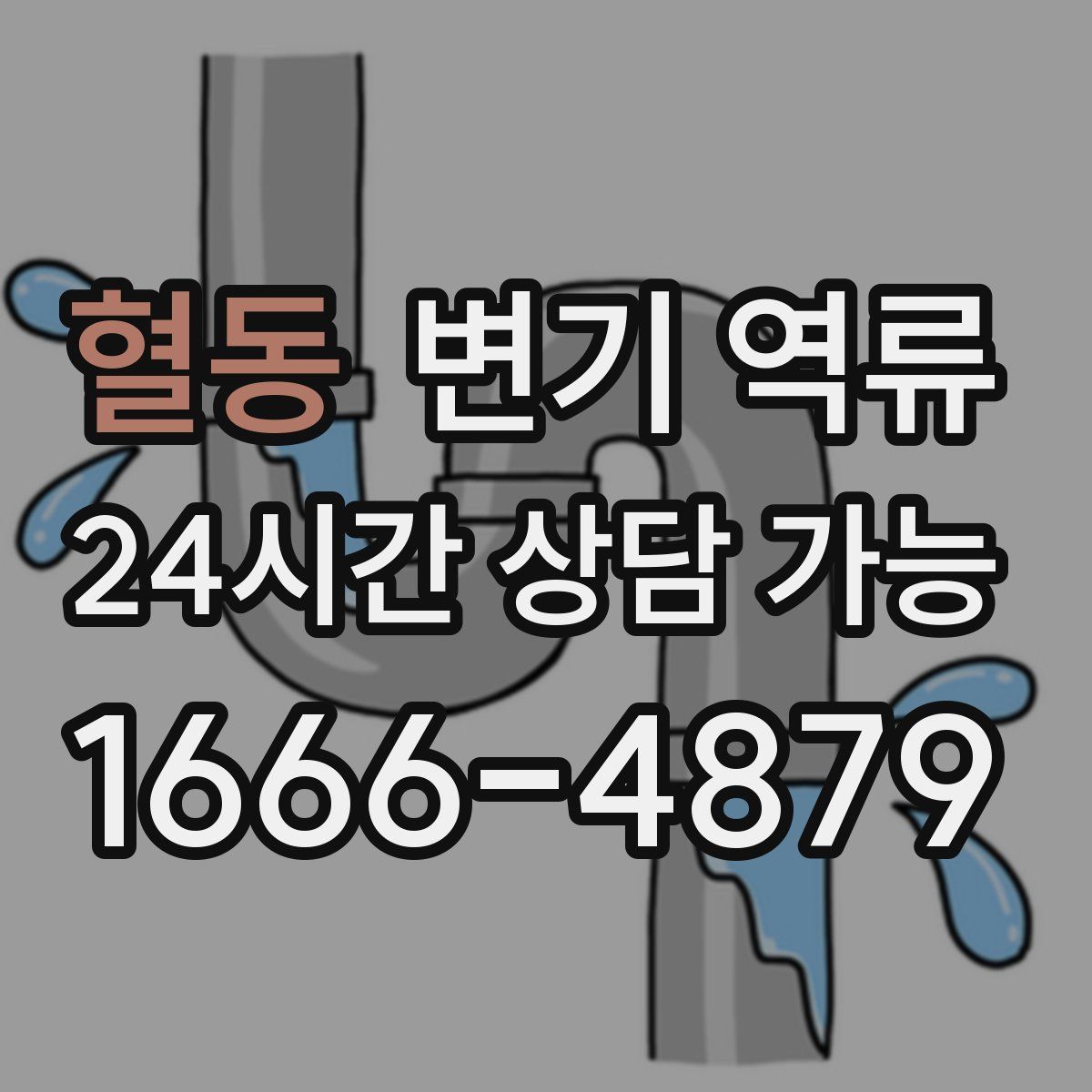 혈동 변기 역류