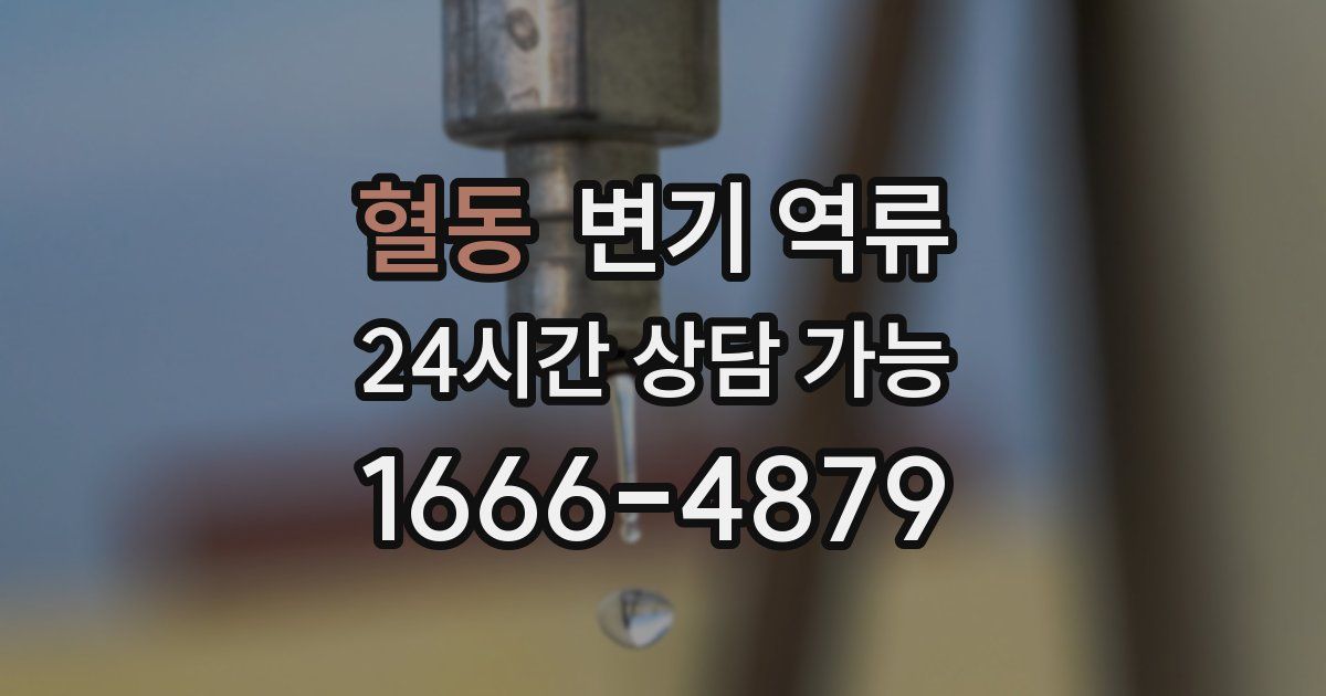 혈동 변기 역류