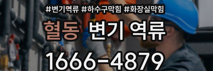 혈동 변기 역류