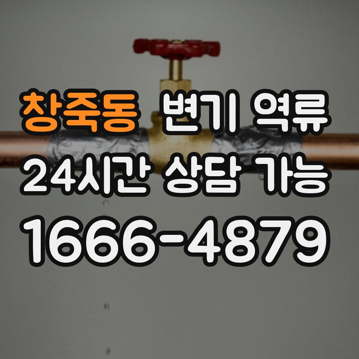 창죽동 변기 역류